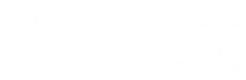 nakkas logo transparan-2